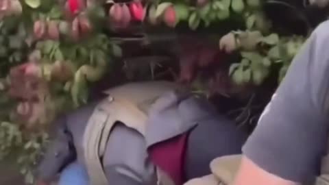 It will be a great day in America when entitled Karens finally realized that DHS