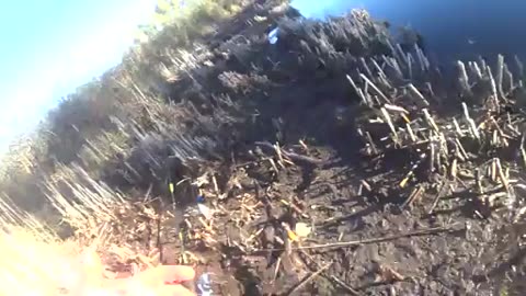 Pêche du brochet au vif