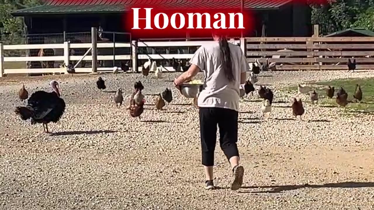 She is our FAVORITE Hooman