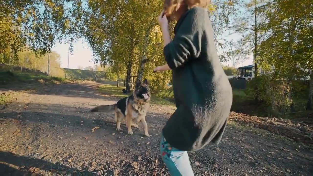 Why Do German Shepherds Prefer To Sleep With Their Owners?