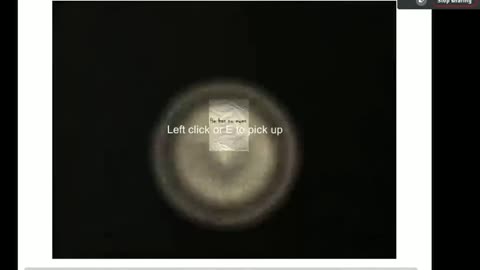 Most Epic Freak Out