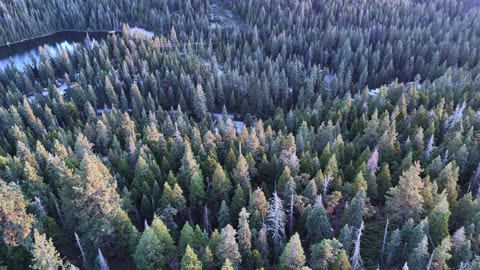 "Don’t wish it were easier, wish you were better."