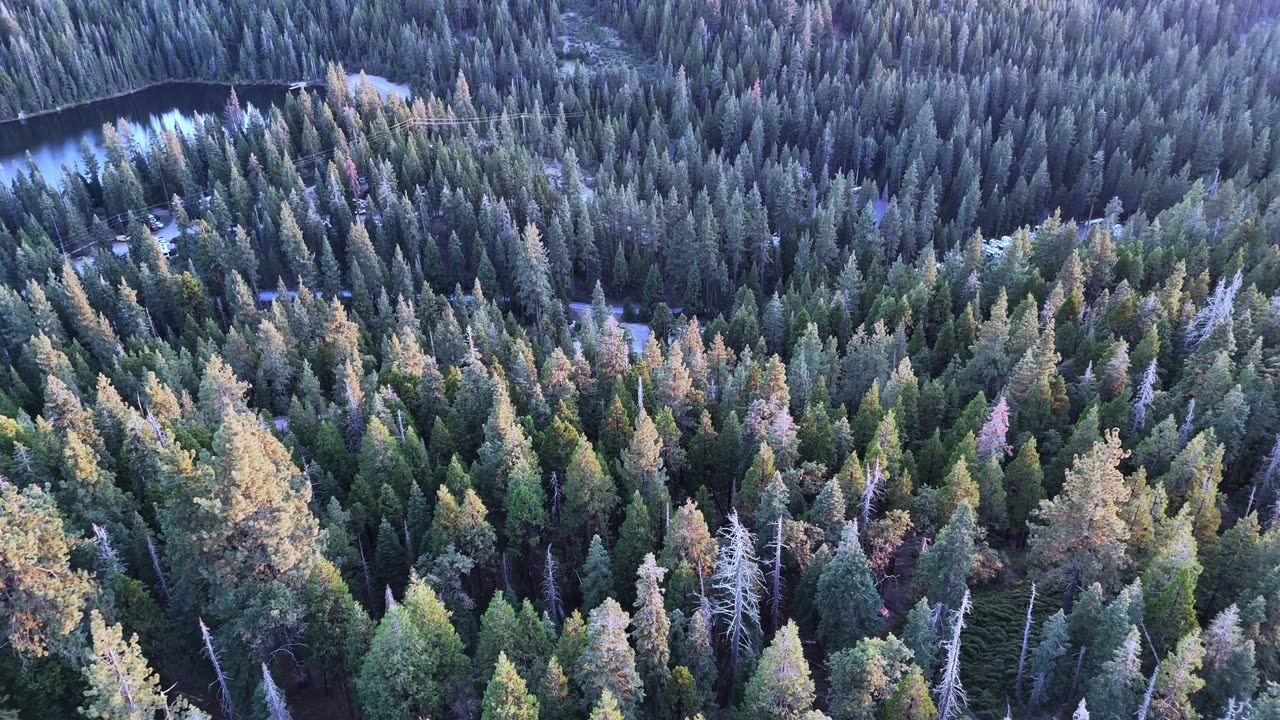 "Don’t wish it were easier, wish you were better."