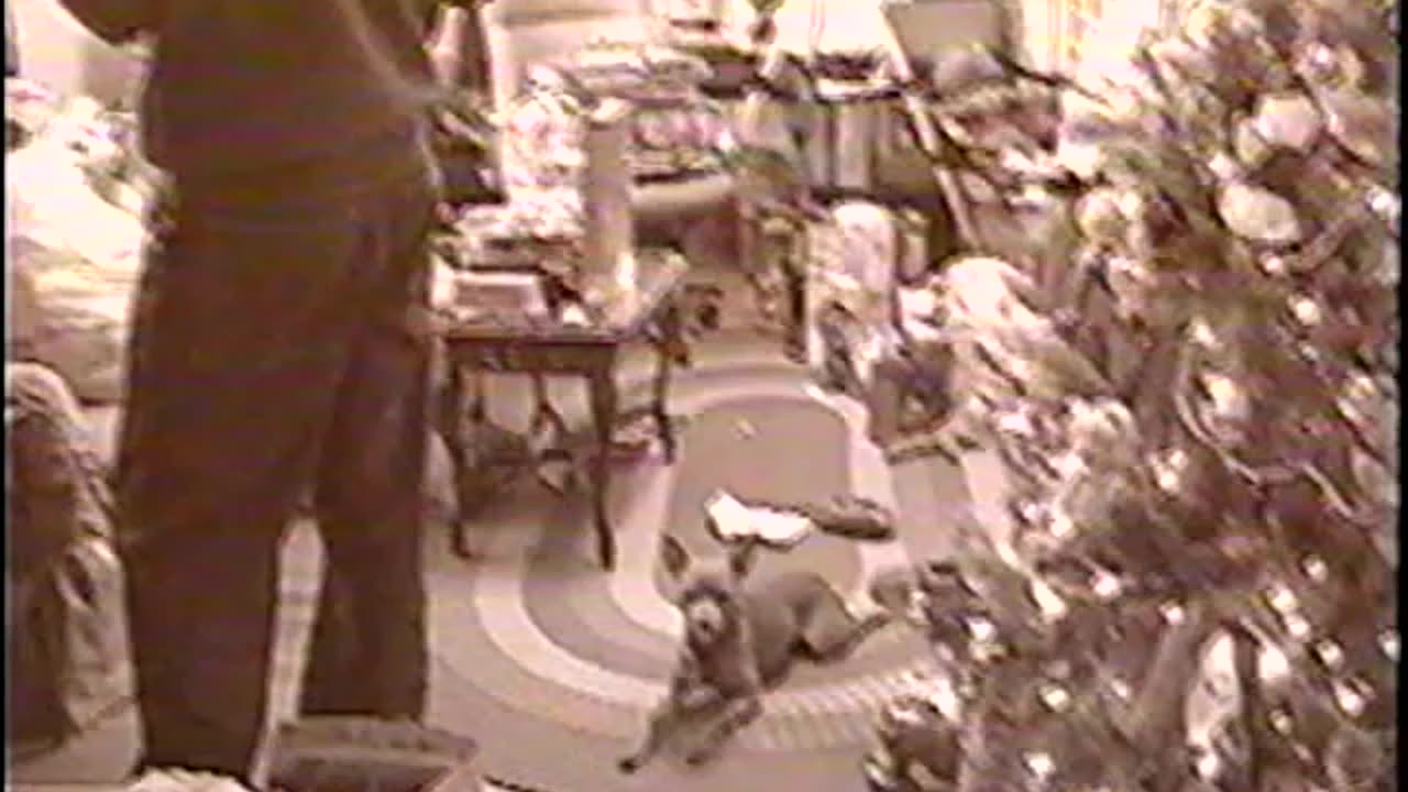 2003-VA-Dec-4