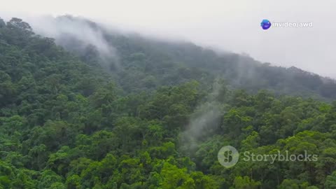 Lost Dinosaurs of the Congo