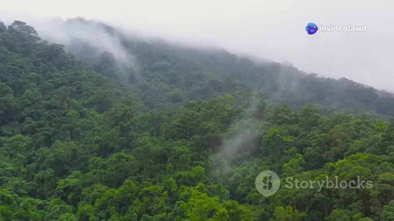 Lost Dinosaurs of the Congo