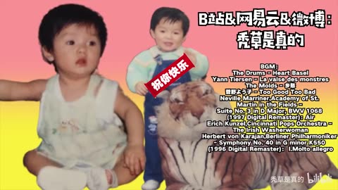 “This Burger Is Absolutely Ridiculous…”