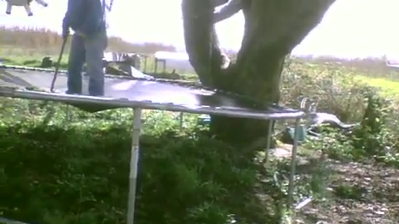 Spy Pen Birthday 2010