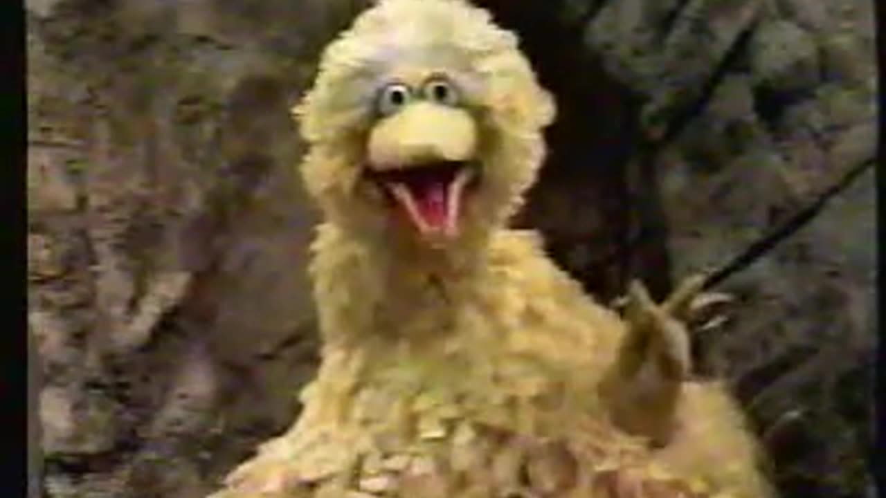 Classic Sesame Street Episode 2396