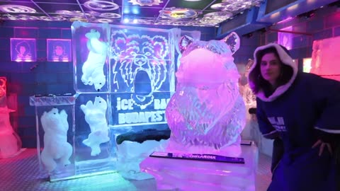 Have You Ever Been to an Ice Bar Barefoot (Loser Ana Deleted YouTube Video)