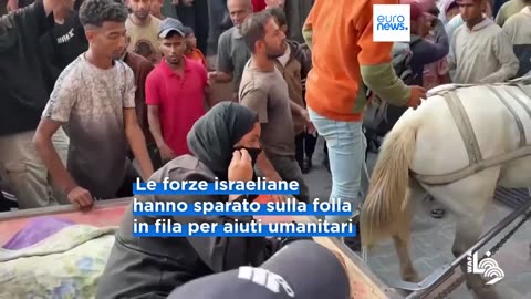 NOTIZIE DAL MONDO Gaza:oltre 50 morti e 200 feriti per spari dei sionisti israeliani sulla folla in attesa degli aiuti umanitari.Critiche crescenti al sistema di distribuzione degli aiuti sostenuto da Israele e USA