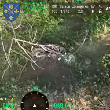 Drone Strikes on Russian Motorcide Group