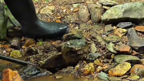 mini prospecting gold finding