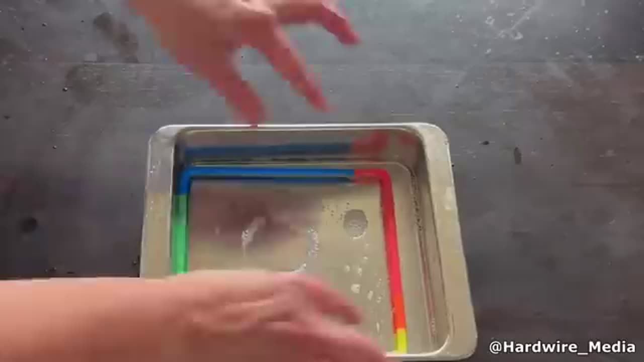 She Didn't Know What Was Beneath Her... 😱🦈