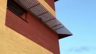 😂 Nice Technique There, Bud! | FunFM