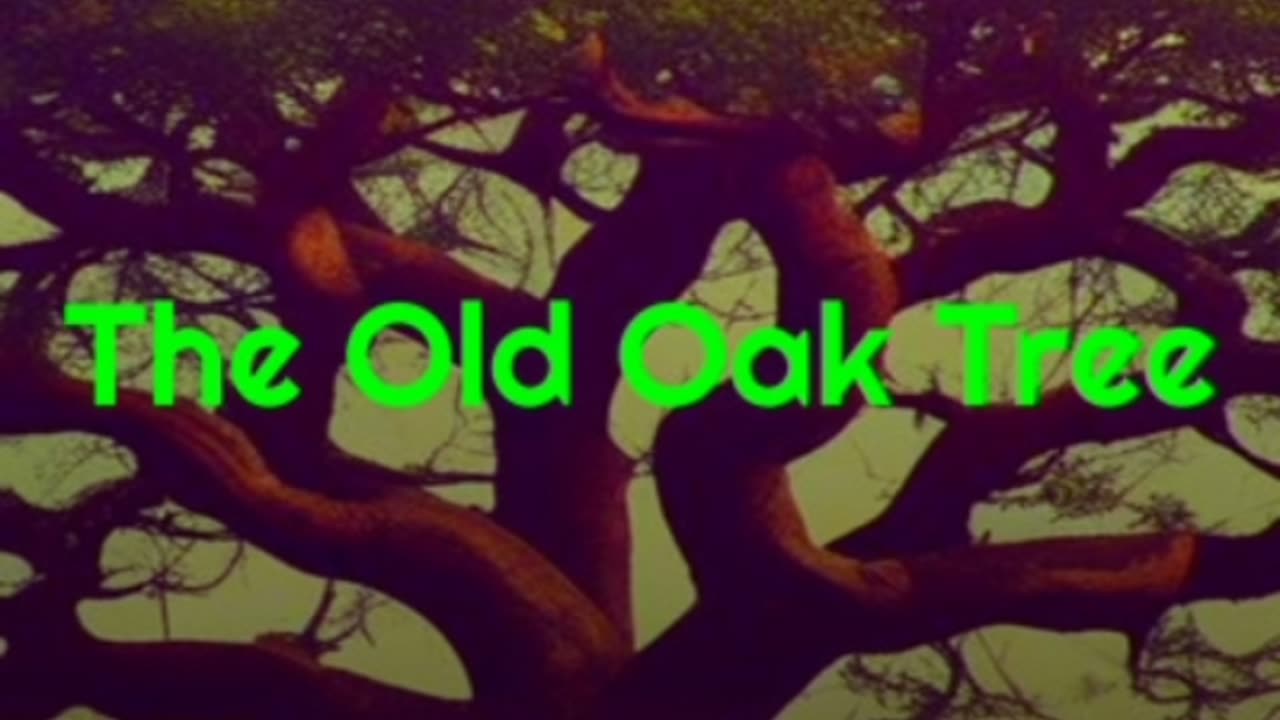 The Old Oak Tree