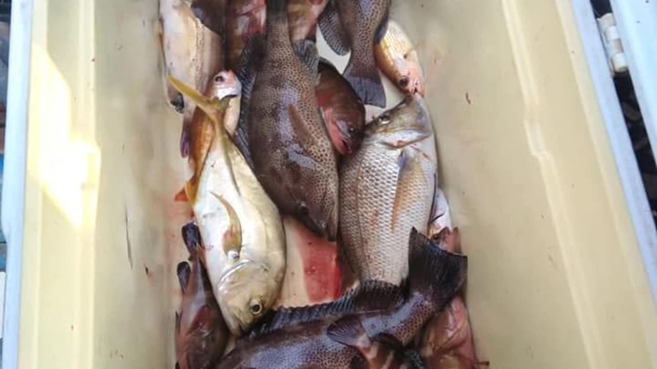 Fishing 🎣 Trip