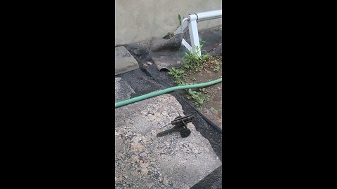 mini howitzer 50 cal