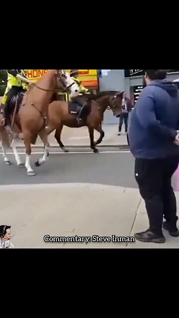 Even the horses are trying to avoid Pride Month.