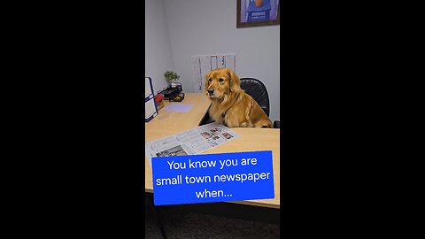 You know you are small town newspaper when...