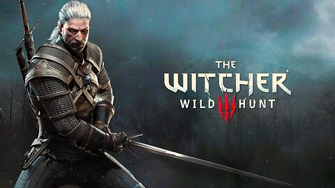 THE WITCHER 3 WILD HUNT
