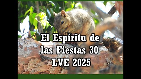 El Espíritu de las Fiestas 30