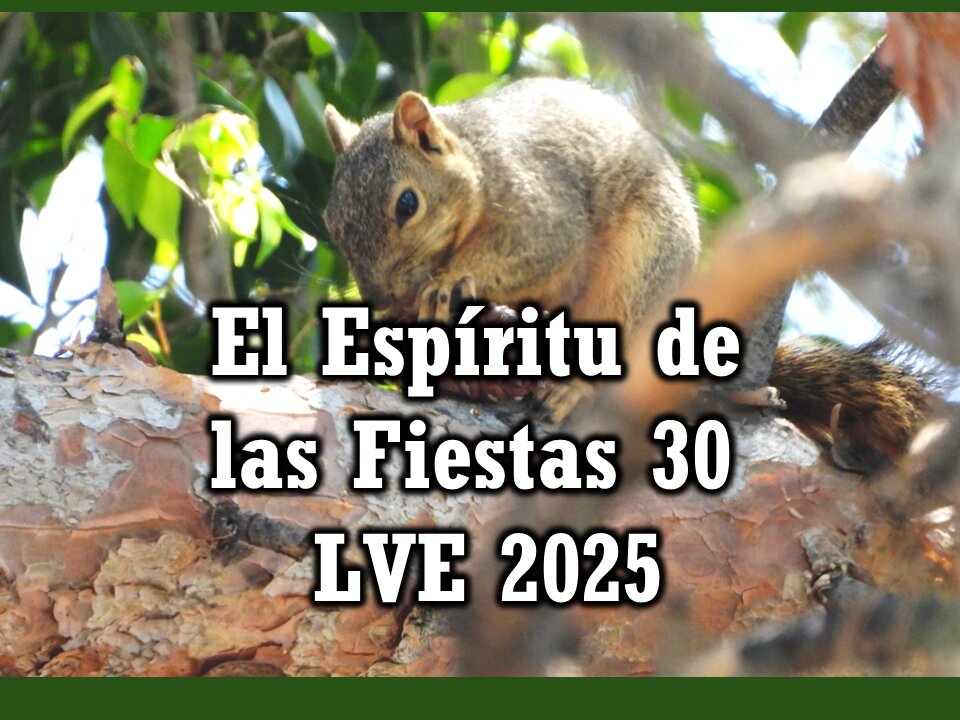 El Espíritu de las Fiestas 30