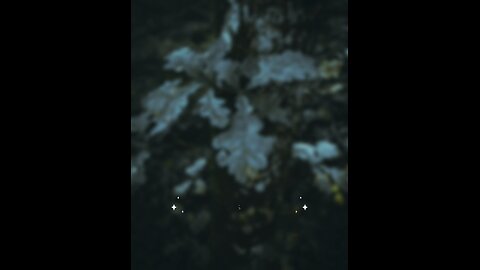 Hadees e nabvi (saw) #islam #viralvideos #islamicreminders #prophetmuhammadsaw #hadeesenabvi