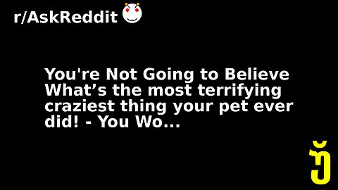 You're Not Going to Believe What’s the most terrifying craziest thing your pet ever did! - You Wo...