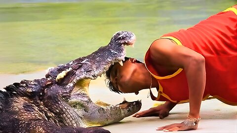 Animals Catching Humans Off Guard 😂 Crazy & Funny Animal Moments 2025