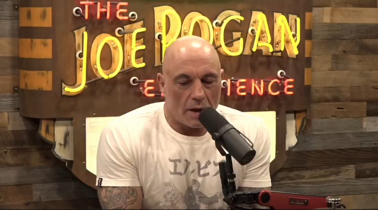 Joe Rogan: What is it like to buy a company for $44B and then people call you a Nazi on the platform