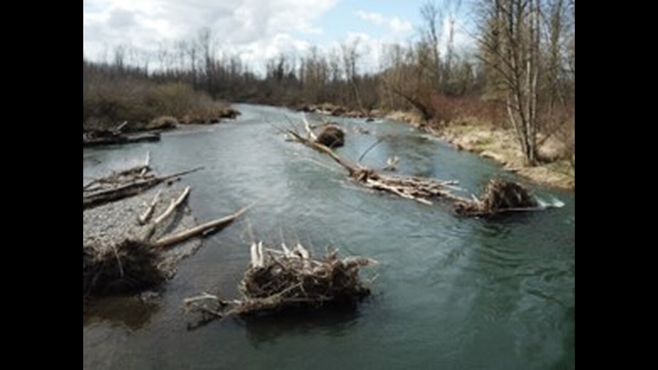 Salem, Oregon News & Weather March 25, 2025