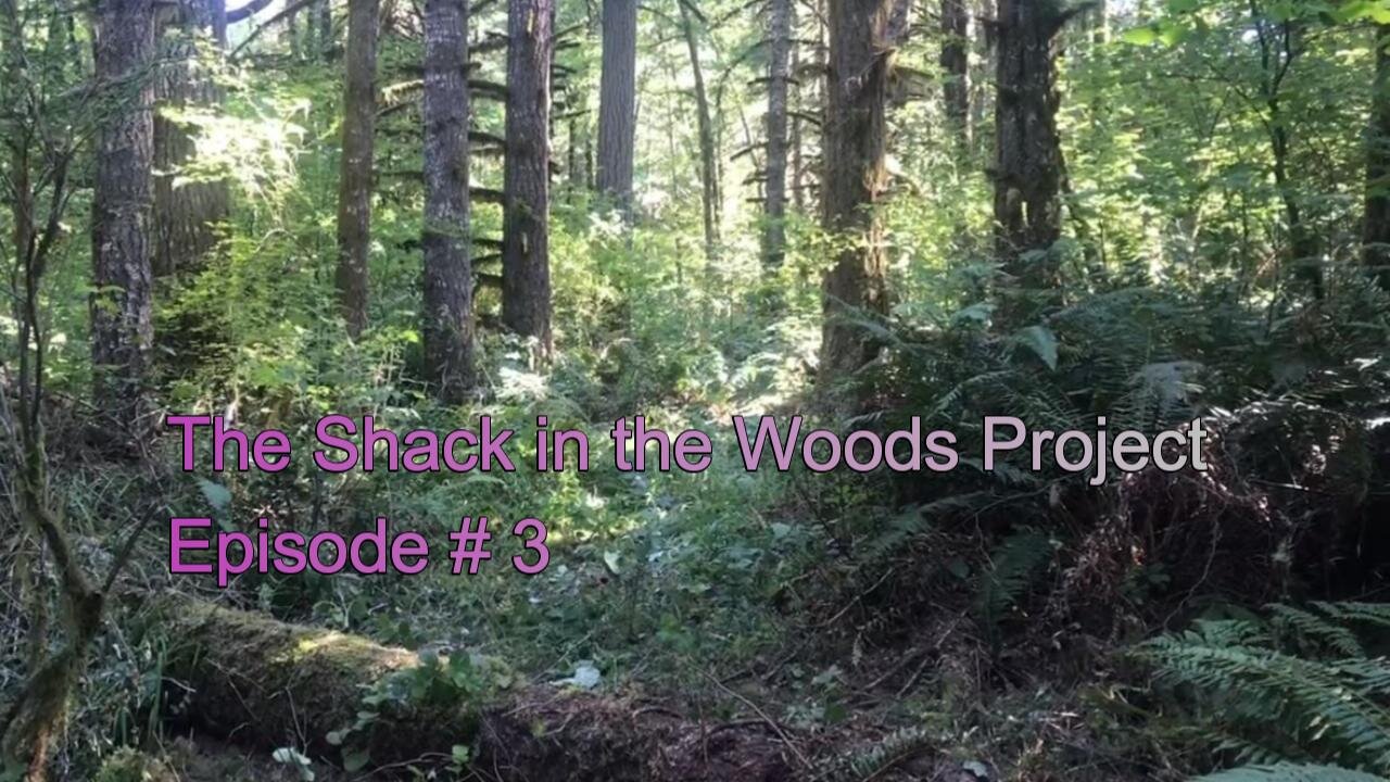 03 Clearing the Road to the Build Site. The Shack in the Woods Portable Sawmill Project