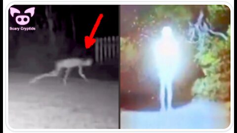 SCARY CRYPTIDS and CREEPY CREATURES Caught on Camera - Slapped Ham