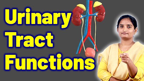 Structure & Functions of Urinary Tract in Women | Urethritis Treatment | Homeopathy, Medicine Cure