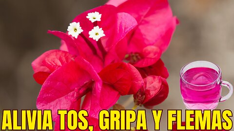 REMEDIO PARA PROBLEMAS RESPIRATORIOS