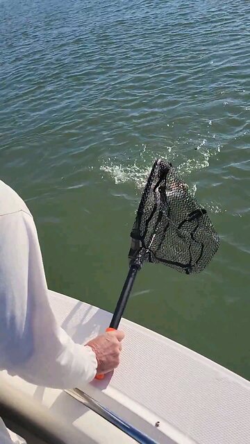 Boom! They're moving!