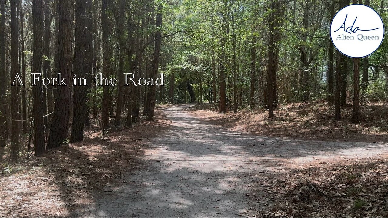 Ada Alien Queen • Ada Walks • Take # 00012 • A Fork in the Road