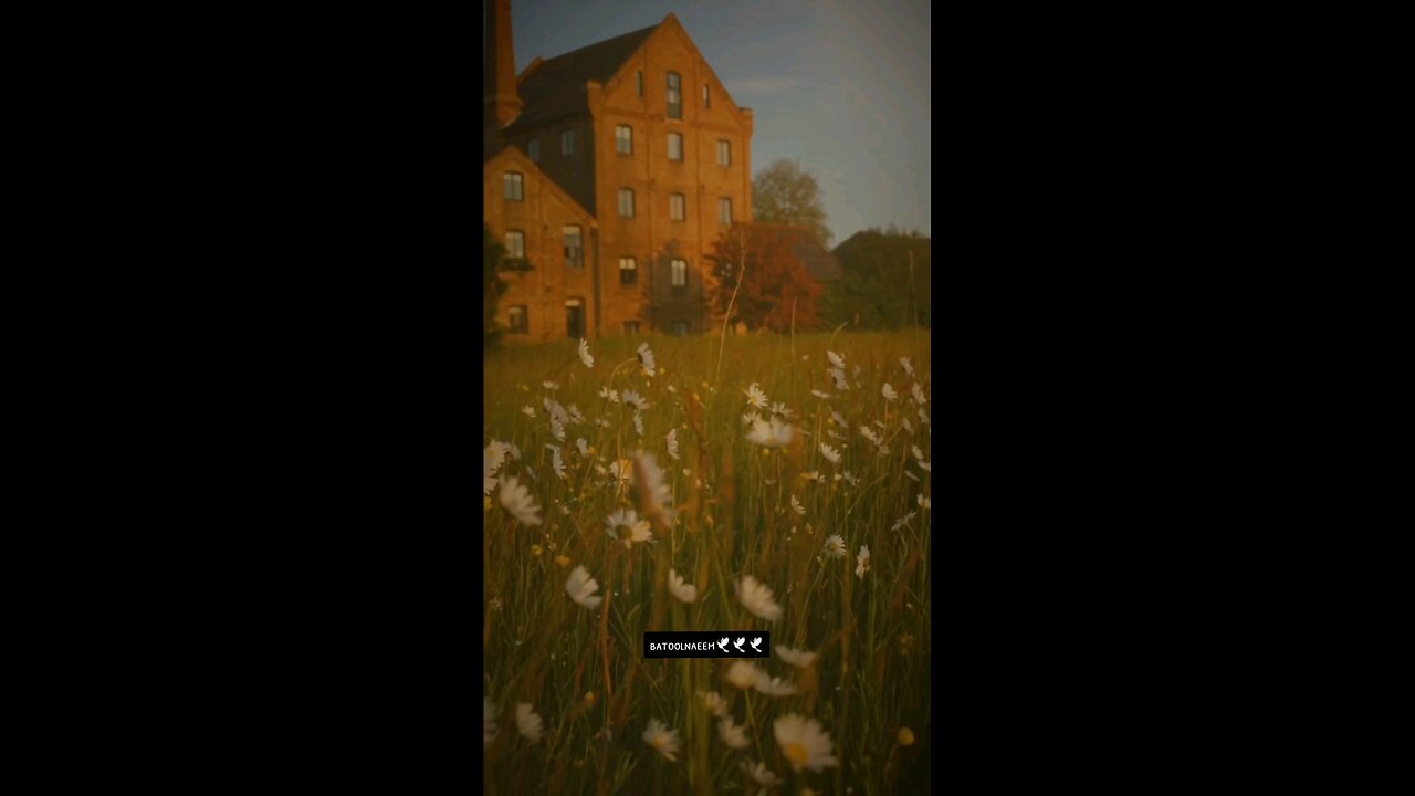 #foryoupage#viralvideo