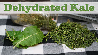 Dehydrating Kale Made Easy: Simple Methods for Long-Term Storage