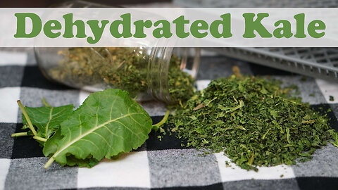 Dehydrating Kale Made Easy: Simple Methods for Long-Term Storage