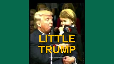 A child wants to stay with Donald Trump
