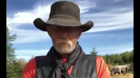 MESSAGE...FOM..RON..@..HELPING..HORSES...HEAL