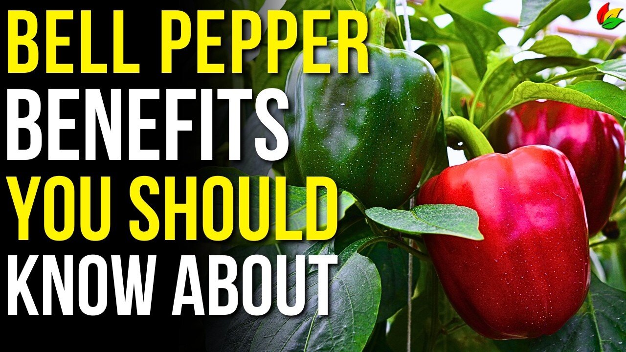 8 Amazing Health Benefits of Bell Peppers You Need to Know! G20