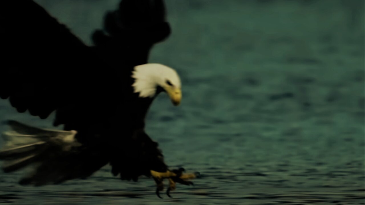 Cynical hope for the melted North Pole