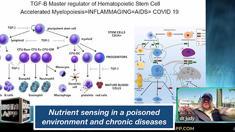 Nutrient sensing in a poisoned environment and chronic diseases