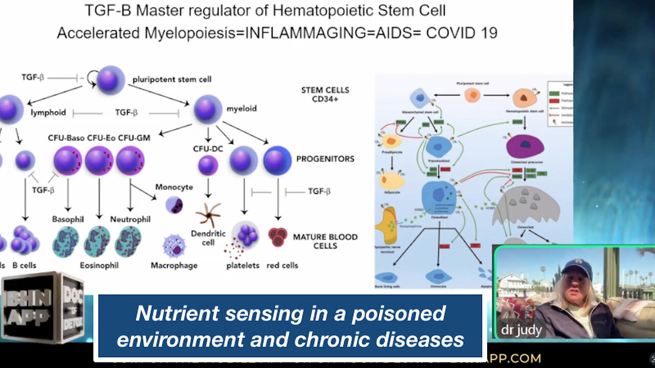 Nutrient sensing in a poisoned environment and chronic diseases