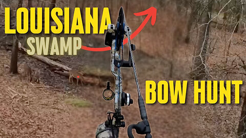 Bow Hunting Whitetail Deer in a Louisiana Swamp! #deerhunting
