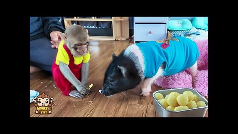 YiYi takes care of Ủn Ỉn in the most surprising special way