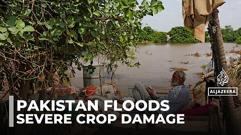 Pakistan flooding: Nearly 4 million people affected by punjab flooding
